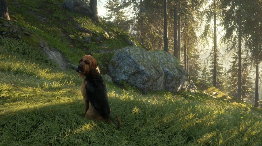 theHunter: Call of the Wild - Bloodhound