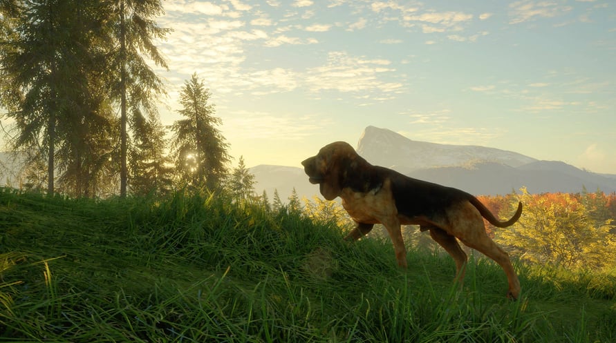 theHunter: Call of the Wild - Bloodhound