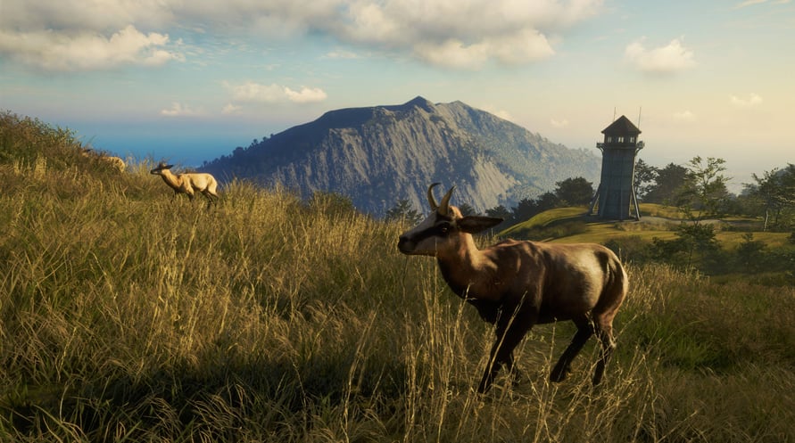 theHunter: Call of the Wild - Te Awaroa National Park