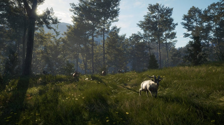 theHunter: Call of the Wild - Te Awaroa National Park