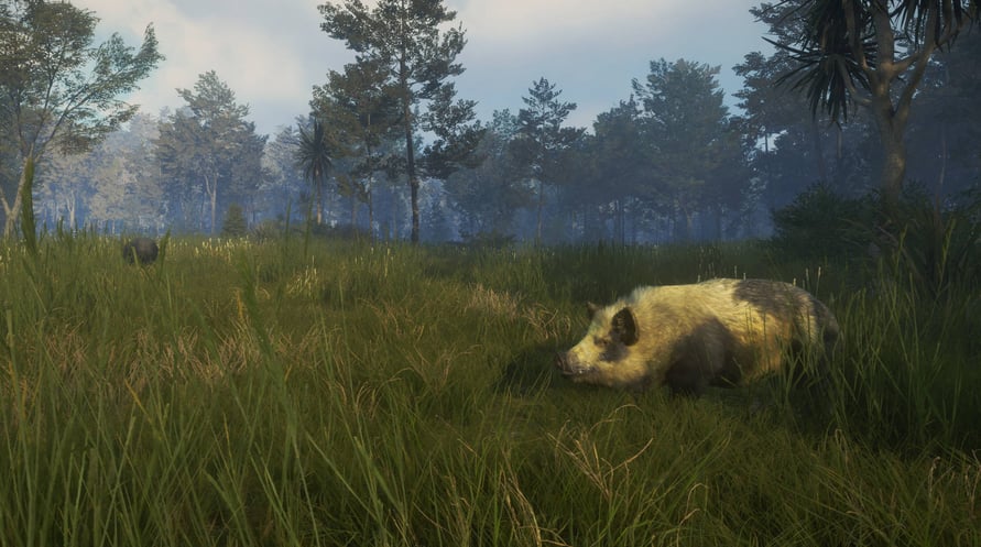 theHunter: Call of the Wild - Te Awaroa National Park
