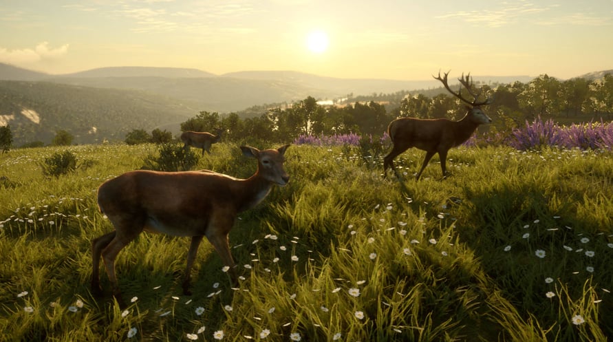 theHunter: Call of the Wild - Cuatro Colinas Game Reserve