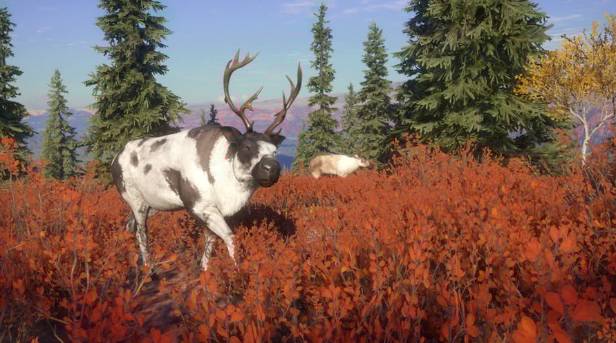 theHunter: Call of the Wild - Yukon Valley