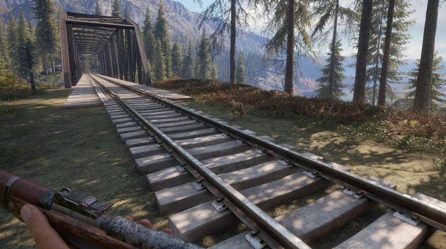 theHunter: Call of the Wild - Weapon Pack 2