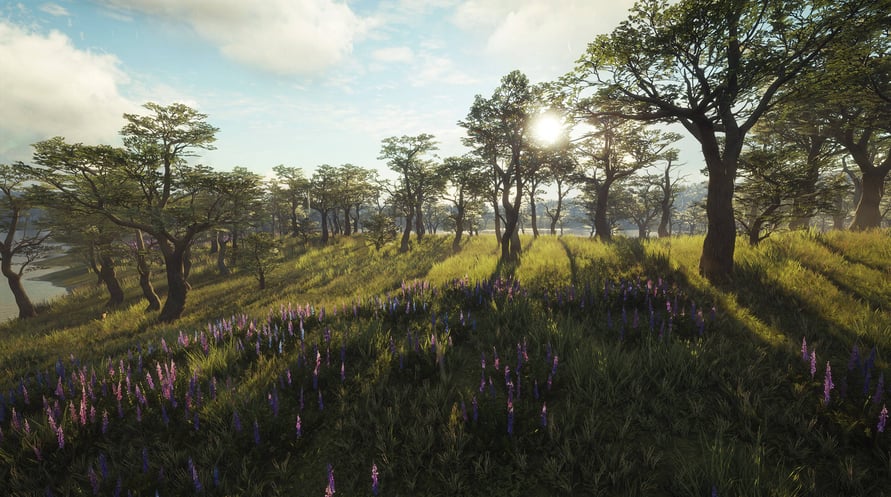 theHunter: Call of the Wild - Parque Fernando
