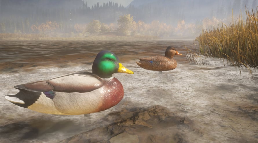 theHunter: Call of the Wild - Duck and Cover Pack