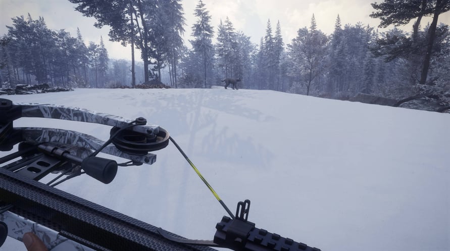 theHunter: Call of the Wild - Weapon Pack 1