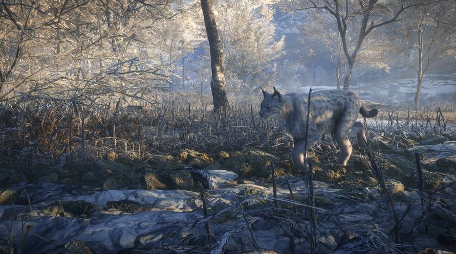 theHunter: Call of the Wild - Medved-Taiga