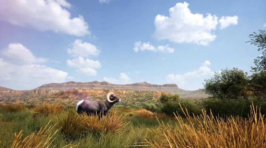 Hunting Simulator 2: Bear Hunter Edition
