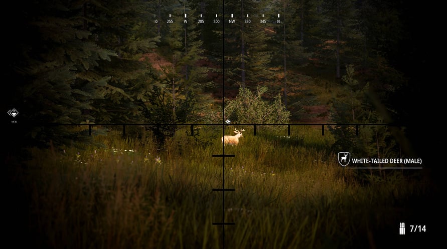 Hunting Simulator 2: Bear Hunter Edition
