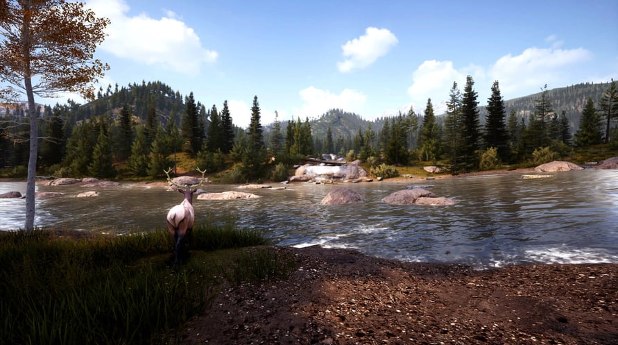 Hunting Simulator 2: Bear Hunter Edition