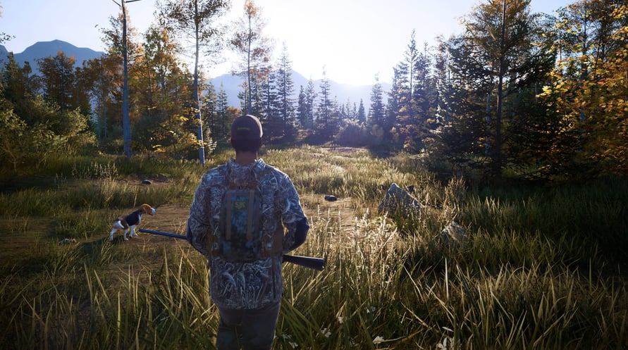 Hunting Simulator 2: Bear Hunter Edition