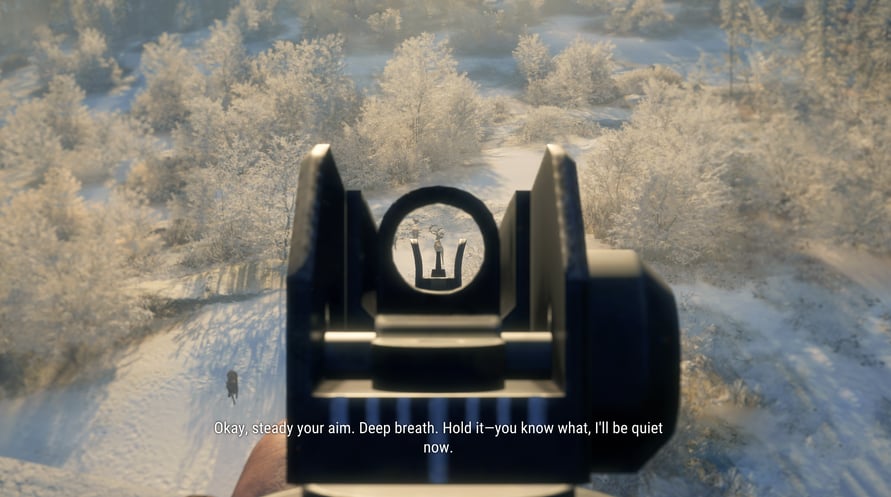 theHunter: Call of the Wild - Modern Rifle Pack