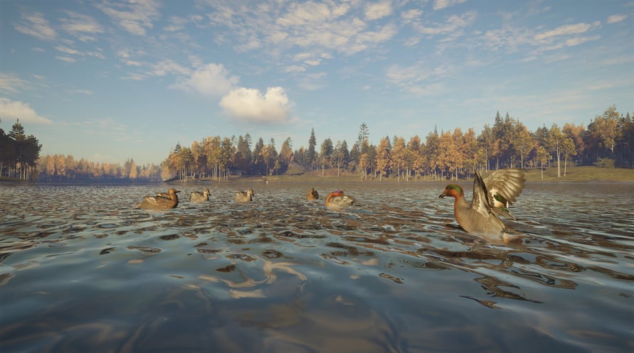 theHunter: Call of the Wild - Revontuli Coast