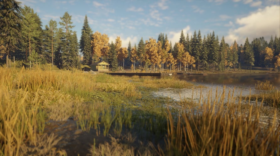theHunter: Call of the Wild - Revontuli Coast