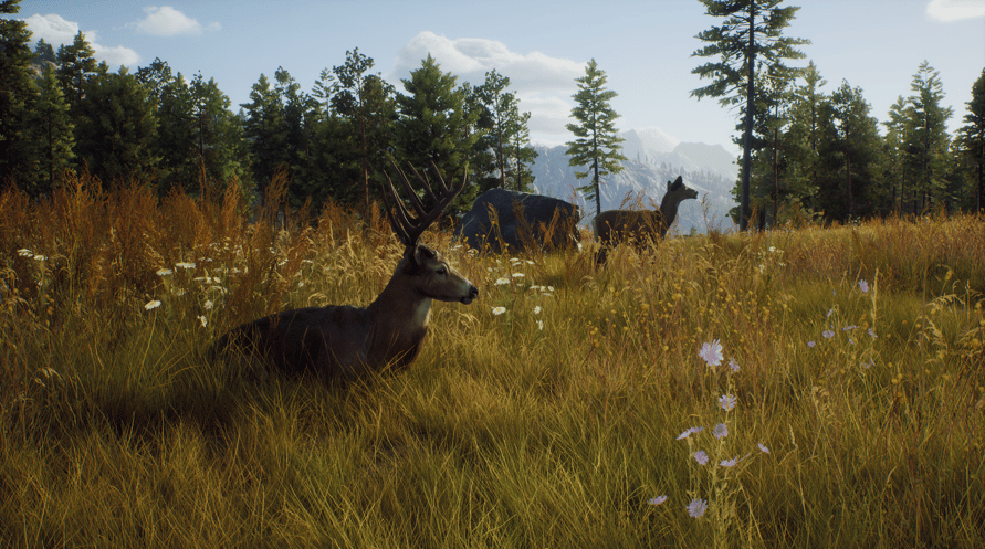 Way of the Hunter: Elite Edition