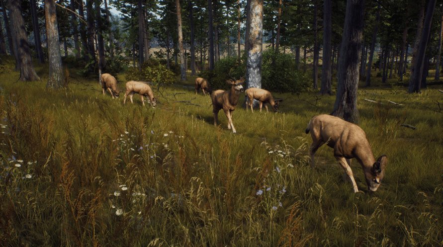 Way of the Hunter: Elite Edition