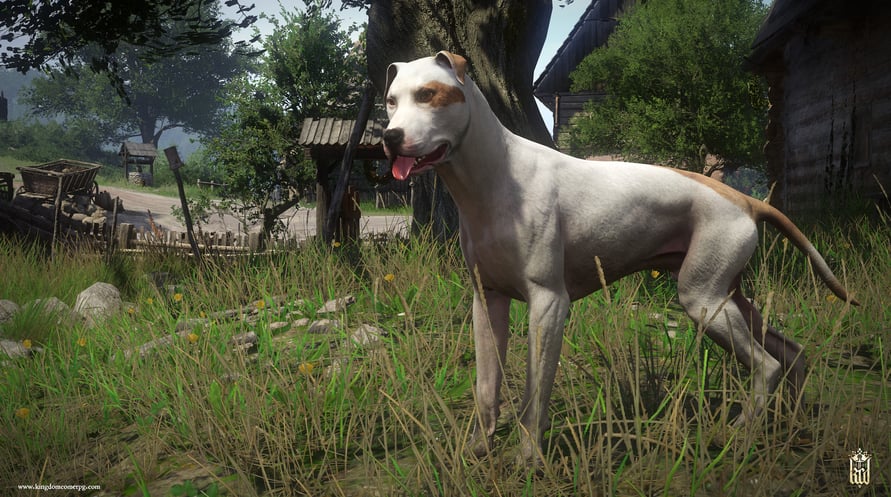 Kingdom Come Deliverance - A Woman's Lot