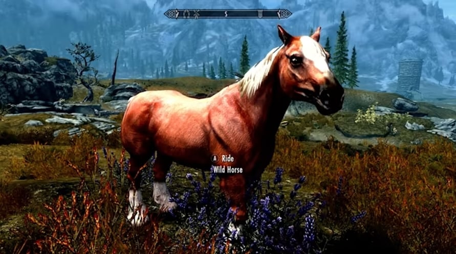 The Elder Scrolls V: Skyrim Anniversary Upgrade EU Nintendo Switch