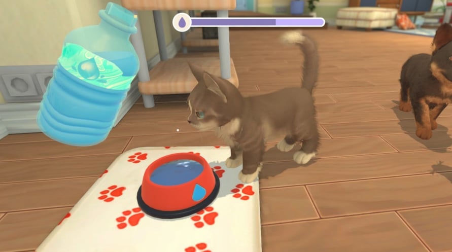 My Universe - Puppies & Kittens