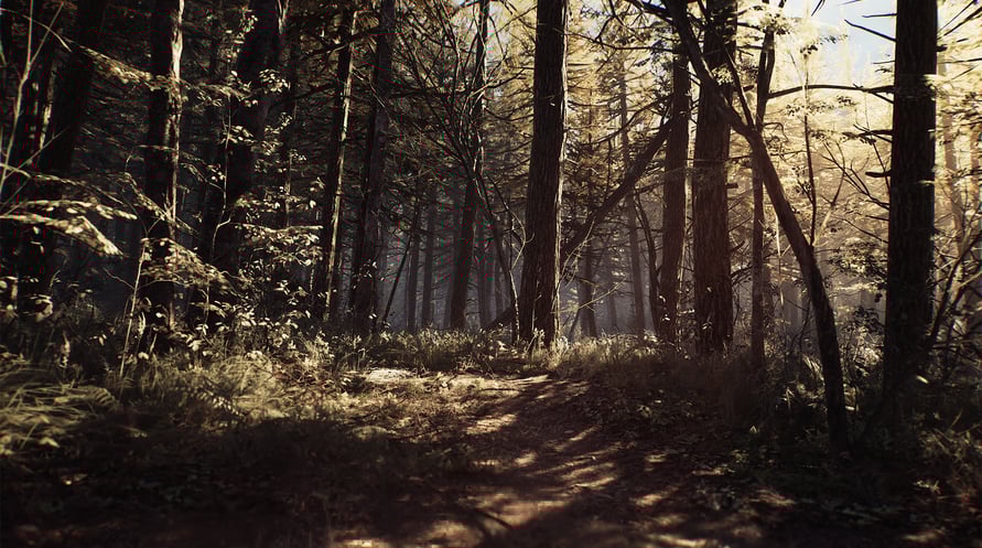 Blair Witch