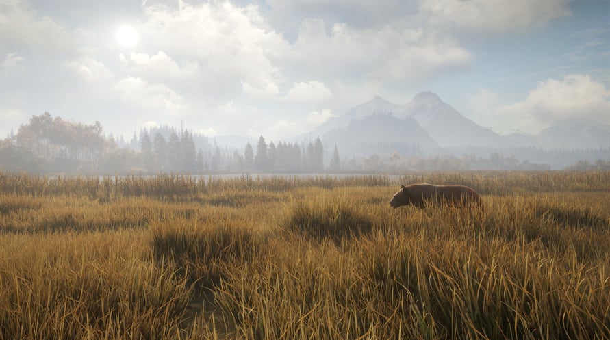 theHunter: Call of the Wild