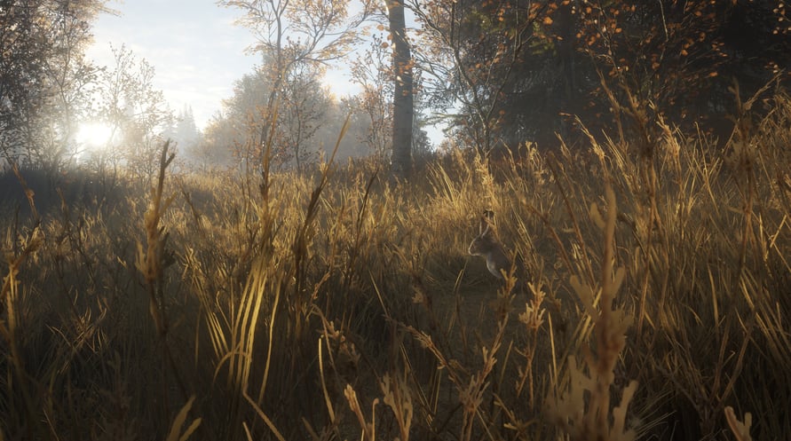 theHunter: Call of the Wild
