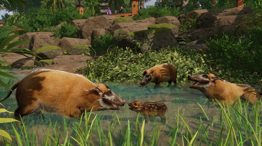 Planet Zoo: Tropical Pack