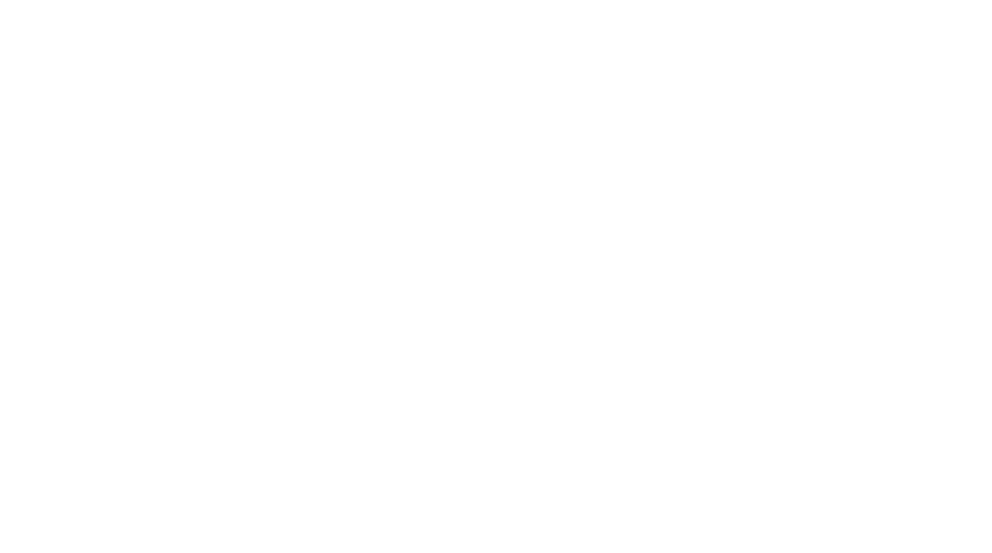9 Monkeys of Shaolin