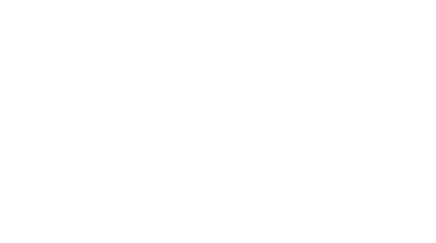 9 Monkeys of Shaolin