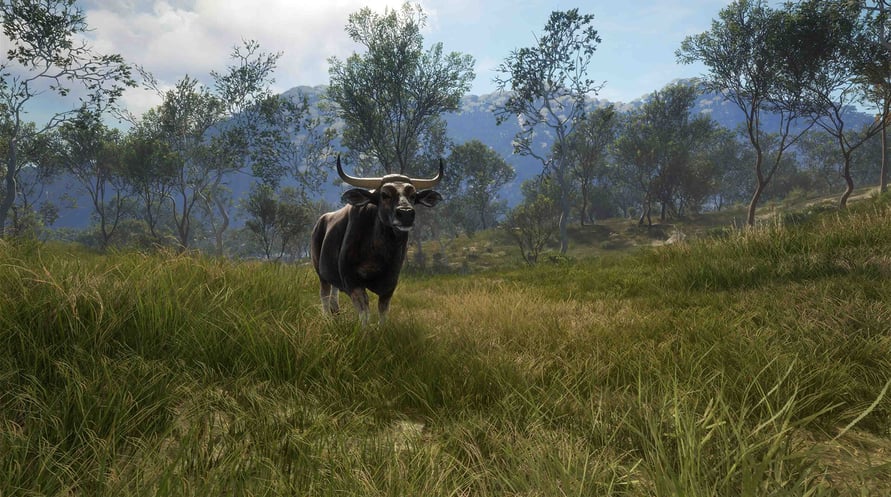 theHunter: Call of the Wild - Emerald Coast Australia