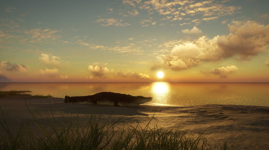 theHunter: Call of the Wild - Emerald Coast Australia