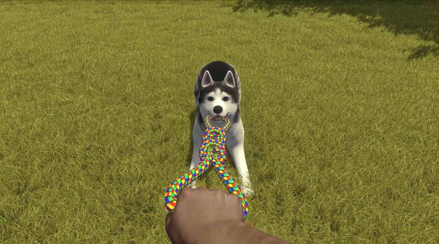 House Flipper Pets