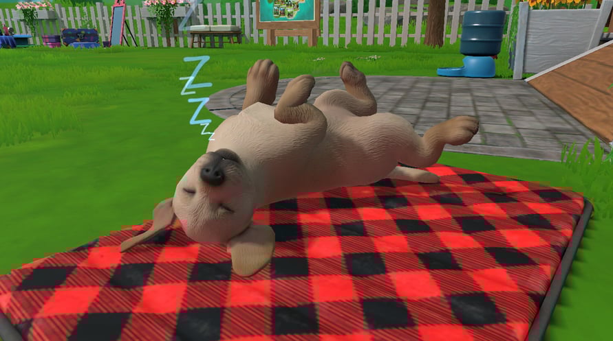 Little Friends: Puppy Island