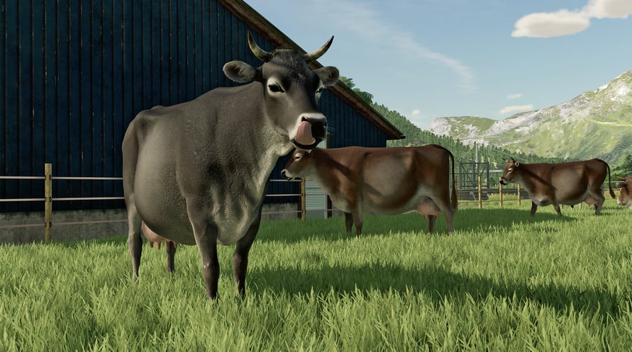 Farming Simulator 22 - Case IH Farmall Anniversary Pack