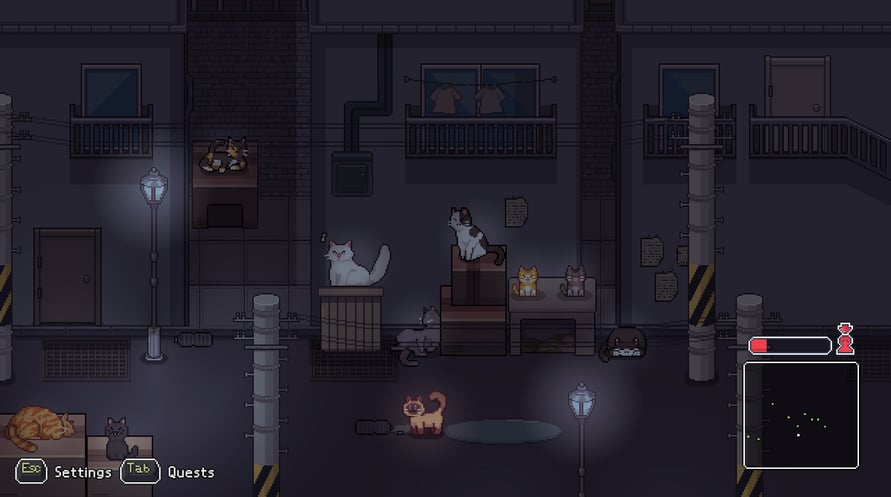 A Street Cat's Tale 2: Out side is dangerous
