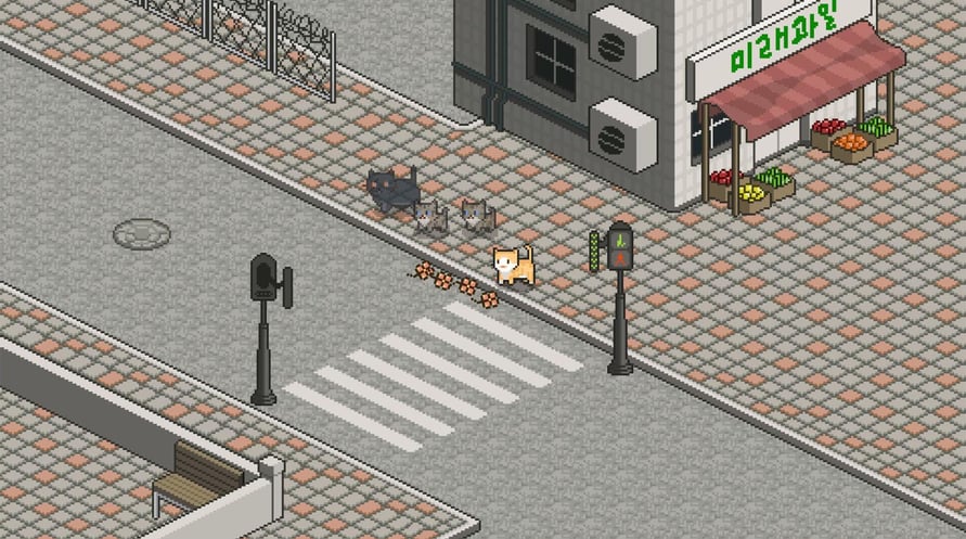 A Street Cat's Tale