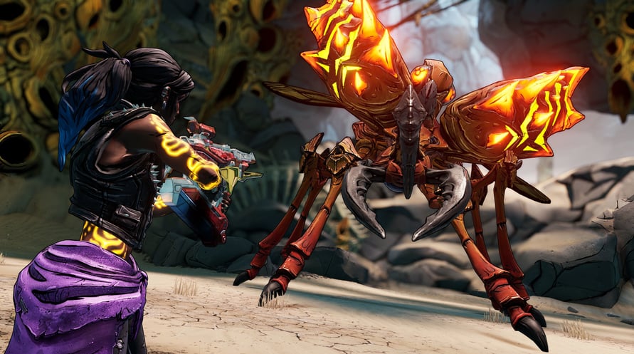 Borderlands 3: Director's Cut
