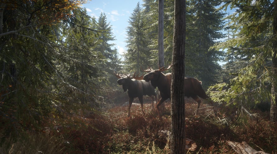 theHunter: Call of the Wild™ - Emerald Coast Cosmetic Pack