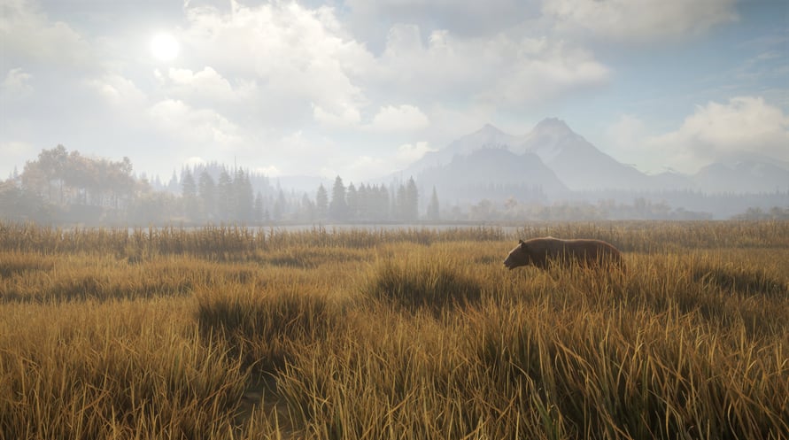 theHunter: Call of the Wild™ - Emerald Coast Cosmetic Pack