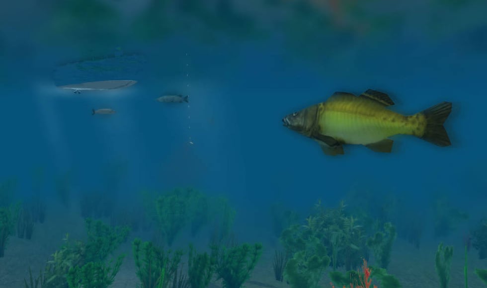 European Fishing