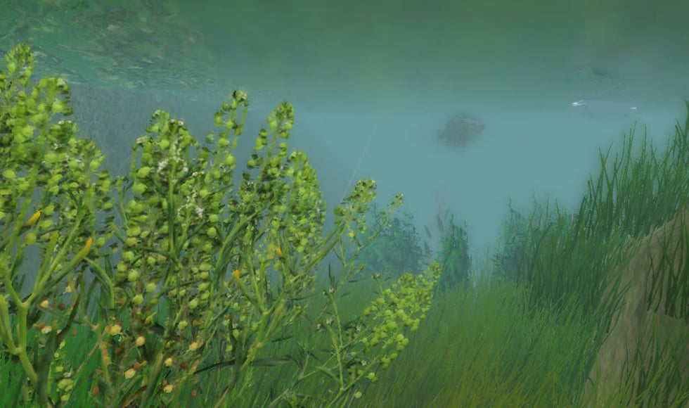 European Fishing