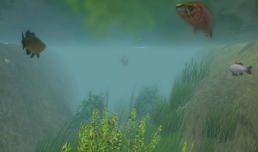European Fishing