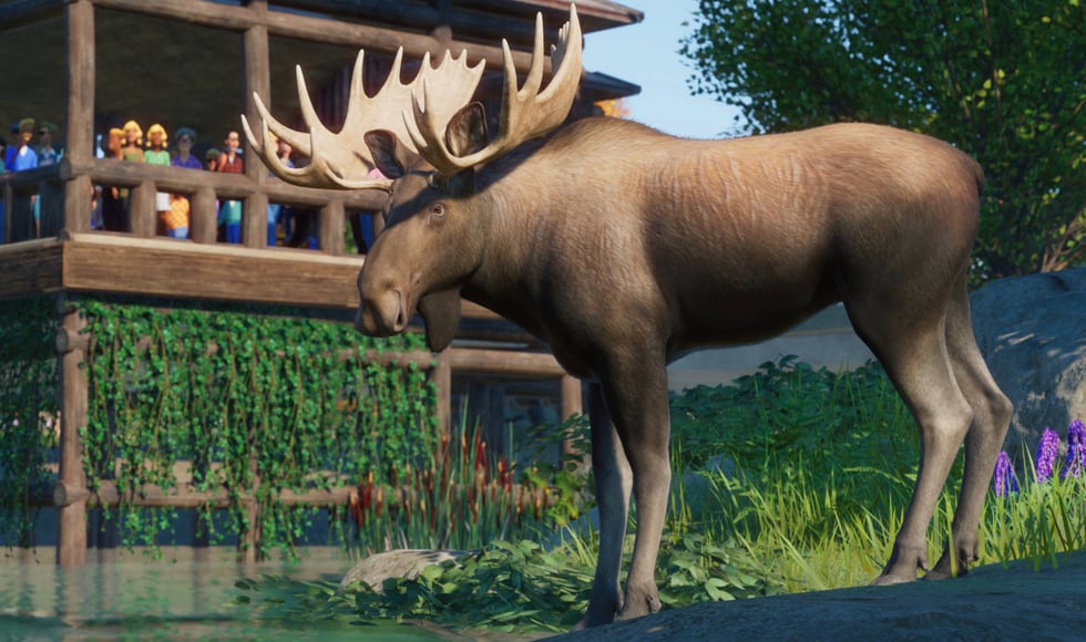 Planet Zoo: North America Animal Pack