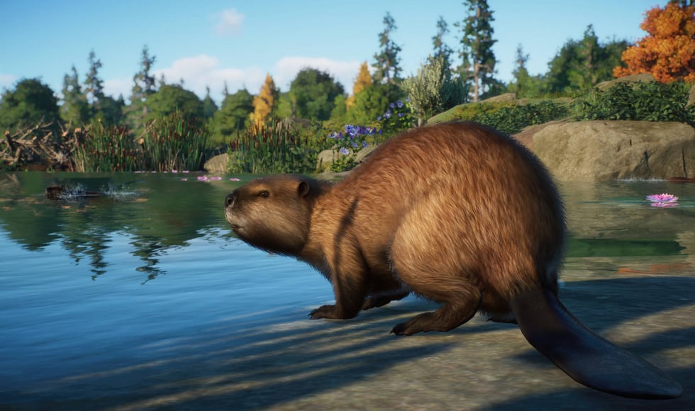 Planet Zoo: North America Animal Pack