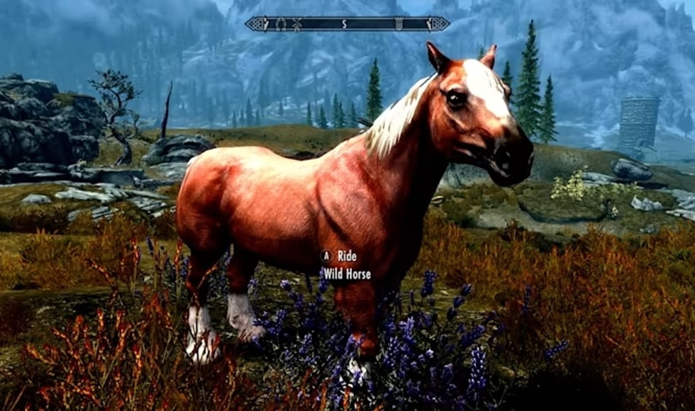 The Elder Scrolls V: Skyrim Anniversary Upgrade EU Nintendo Switch
