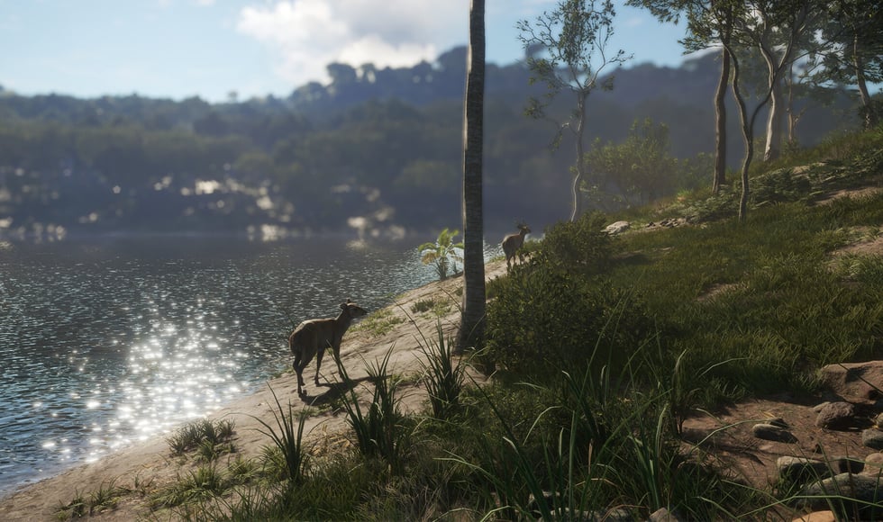 theHunter: Call of the Wild - Emerald Coast Australia