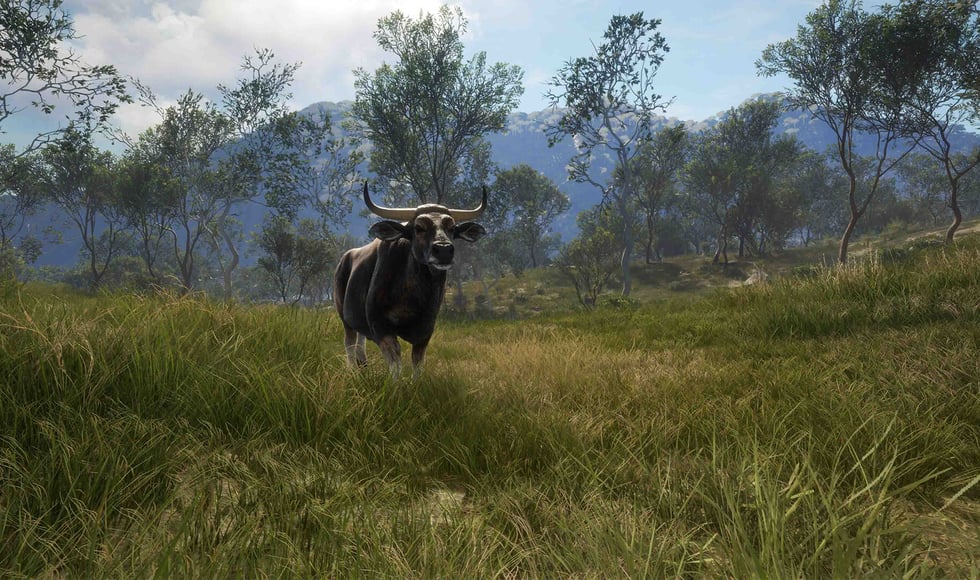 theHunter: Call of the Wild - Emerald Coast Australia