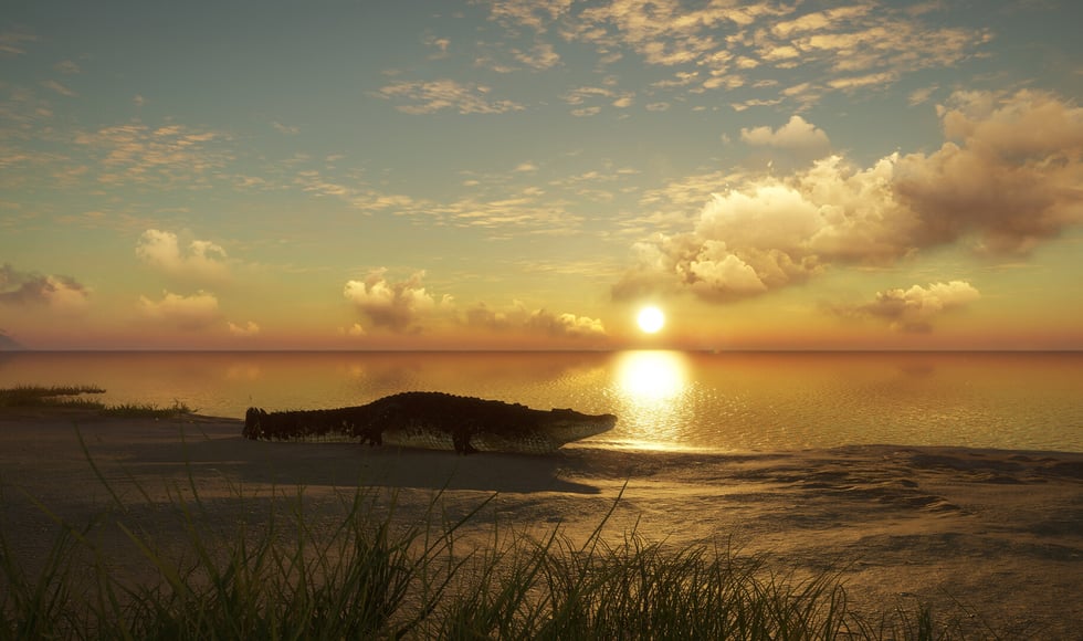 theHunter: Call of the Wild - Emerald Coast Australia