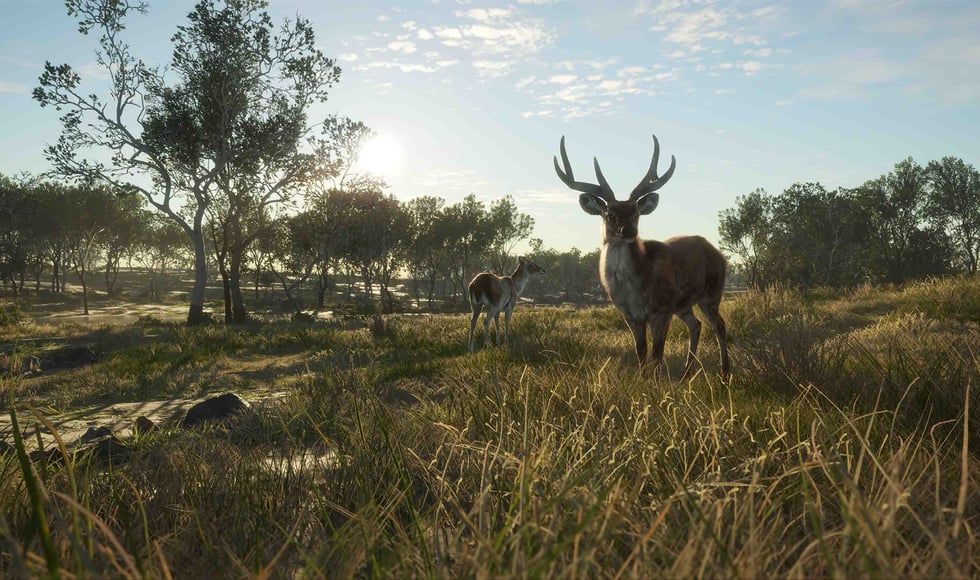 theHunter: Call of the Wild - Emerald Coast Australia